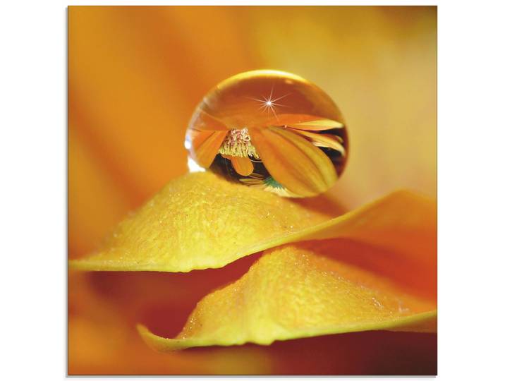 Glasbild ARTLAND Wassertropfen II , orange (farbe bild(er): orange), B:30cm H:30cm, Bilder, Glasbild, in verschiedenen Grössen