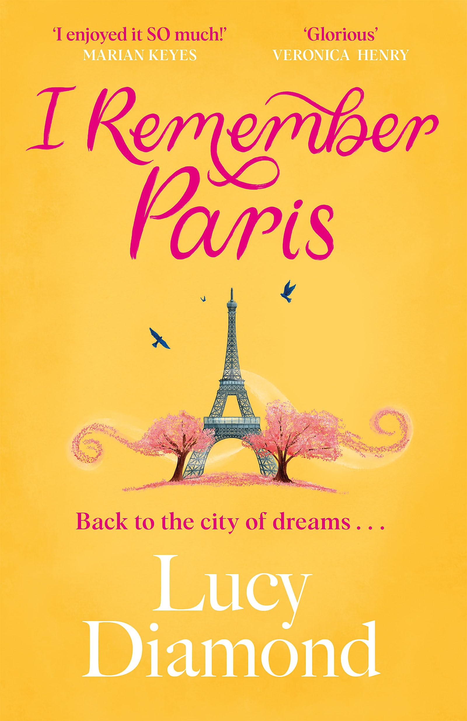 Lucy Diamond - I Remember Paris: the perfect escapist read, set in Paris - Preis vom 09.10.2026 07:28:09 h