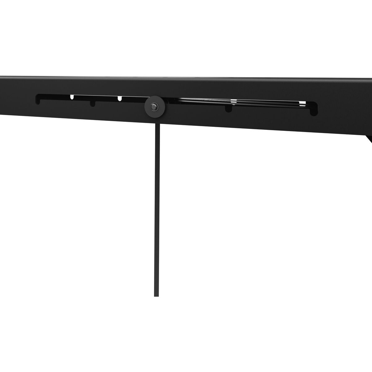 Thule Multilift 2, 100kg neutral (572051-572051)
