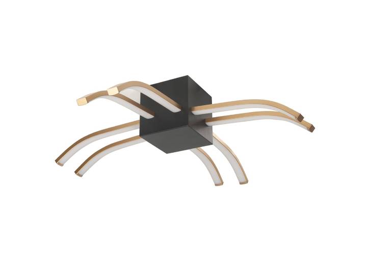 Design plafondlamp Spider zwart met goud Highlight - P6423.01