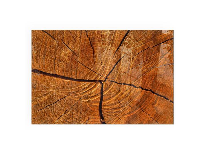 KAMINBODENPLATTE 60x40 cm - Holzmaserung im Querschnitt