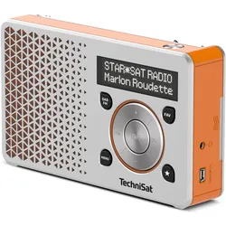 TechniSat DigitRadio 1 (DAB+, FM), Radio, Orange, Silber