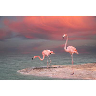 Fototapete PAPERMOON "ROSA FLAMINGOS-VÖGEL TIERE STRAND HIMMEL DEKOR ABSTRAKT", bunt, B:2,5m L:1,86m, Vlies, Tapeten