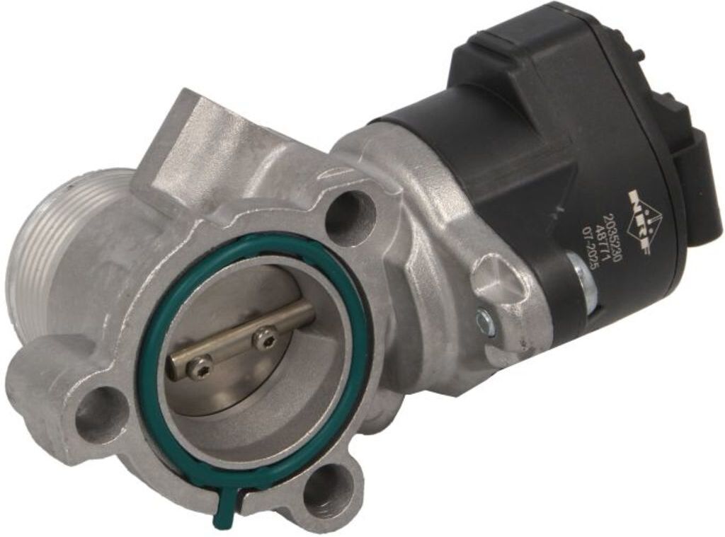 Nrf Valvola EGR 48771