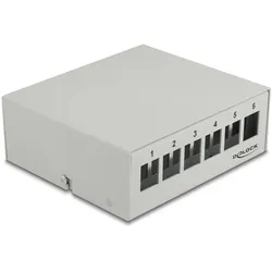 DELOCK Keystone Patchpanel 6 Port grau