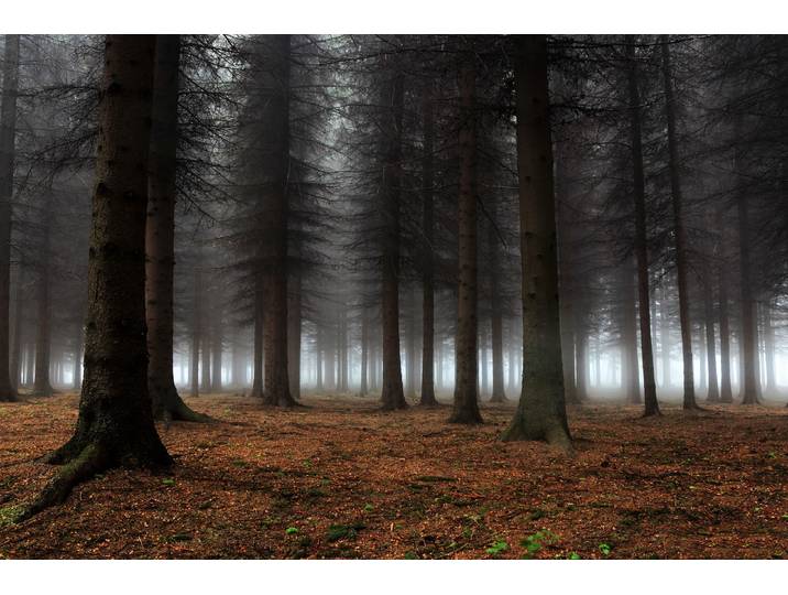 Fototapete PAPERMOON Photo-Art DRAGISA PETROVIC, PLATZ DER STILLE , bunt, B:5m L:2,8m, Vlies, Tapeten, Fototapete