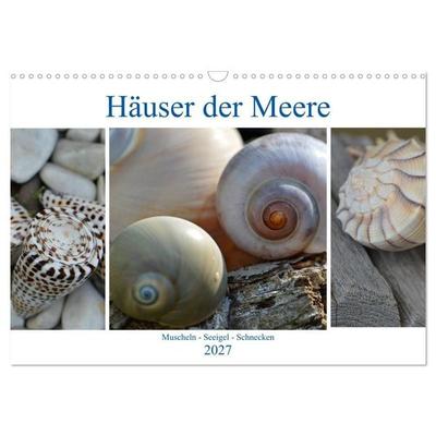 Häuser der Meere: Muscheln - Seeigel - Schnecken (Wandkalender 2027 DIN A3 quer), CALVENDO Monatskalender