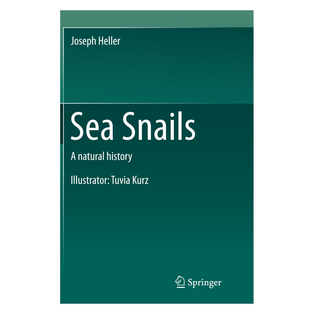 Springer Sea Snails (Englisch, Softcover, Joseph Heller) (55855179)