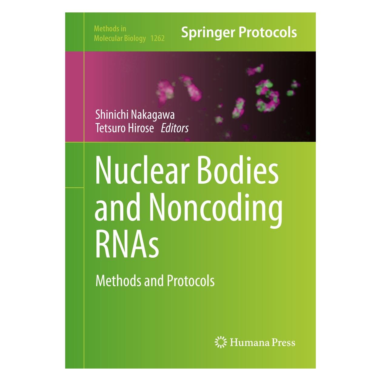 Springer Nuclear Bodies and Noncoding RNAs (Englisch, Hardcover, Shinichi Nakagawa, Tetsuro Hirose) (9781493922529)