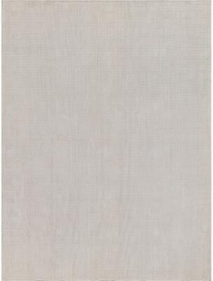 EXQUISITE RUGS Bali Indoor/Outdoor Flatweave PET yarn Ivory Area Rug.