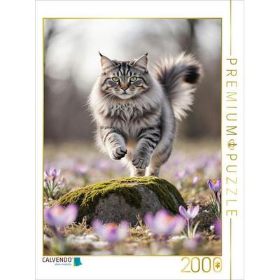 CALVENDO Puzzle Eine Maine Coon Katze springt über einen Felsen und bewegt sich voller Energie durch die Frühlingsblumen | 2000 Teile Lege-Größe 90x67