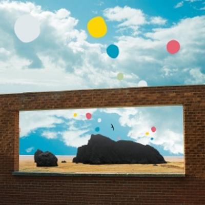 First Of The Birds (Yellow Vinyl) - Admiral Fallow, Vinyl