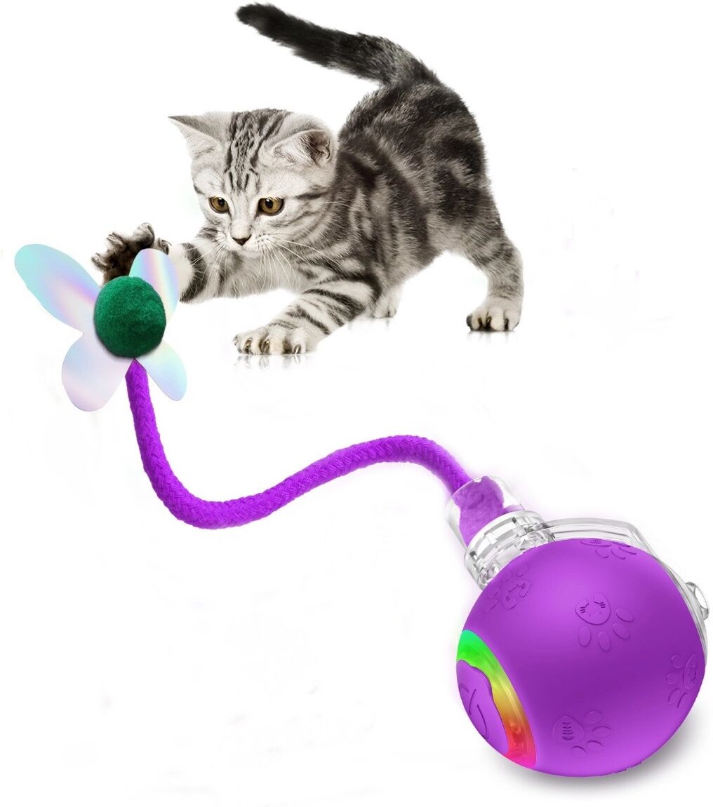 INF Balle électrique interactive pour animaux avec activation par vibration, roulement automatique et recharge Type-C Violet