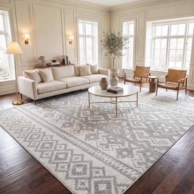 SAFAVIEH Adirondack Dixie Rustic Boho Rug