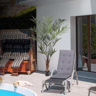 Regency International Potted Uv Treated Kentia Palm 7'