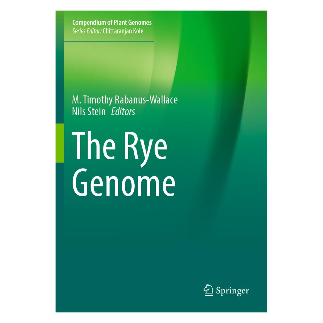Springer The Rye Genome (Englisch, Softcover, M. Timothy Rabanus-Wallace, Nils Stein) (56901176)