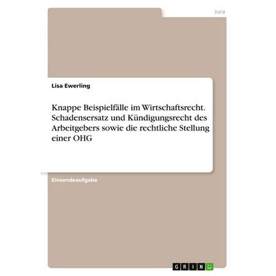 Knappe Beispielfälle im Wirtschaftsrecht. Schadensersatz und Kündigungsrecht des Arbeitgebers sowie die rechtliche Stellung einer OHG, Taschenbuch von