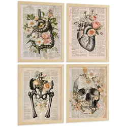 POSTER Set aus 4 Anatomie Mensch Botanische Drucke und mit Organen Herz Verdauungssystem Schädel und Becken Heimdekoration Größe Rahmenlos A4