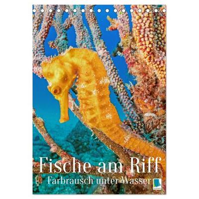 Farbrausch unter Wasser: Fische am Riff (Tischkalender 2027 DIN A5 hoch), CALVENDO Monatskalender