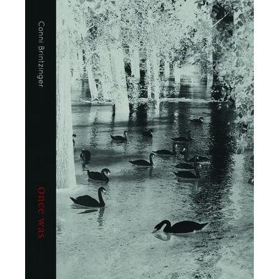 Once was, Gebundene Ausgabe von Conni Brintzinger, Das Wunderhorn, 978-3-88423-435-8