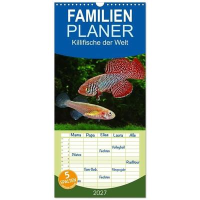 Familienplaner 2027 - Killifische der Welt mit 5 Spalten (Wandkalender, 21 x 45 cm) CALVENDO
