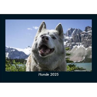 Hunde 2025 Fotokalender DIN A5