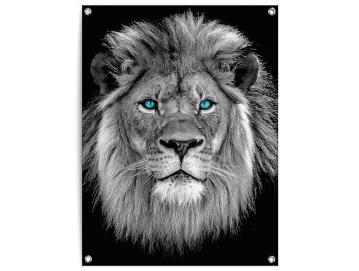 REINDERS Gartendeko, Löwe mit blaue Augen, Garten, Bilder, Wanddeko, Room Decor, Leinwand, Schwarz, 80 x 60