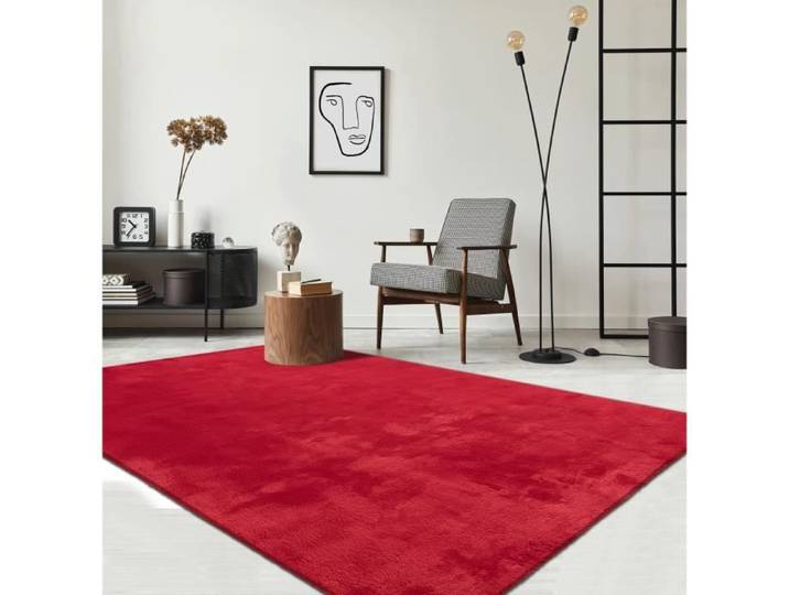 Tapis Moderne - The Carpet - LOFT - Rouge - 140x200 cm - Lavable - Antidérapant