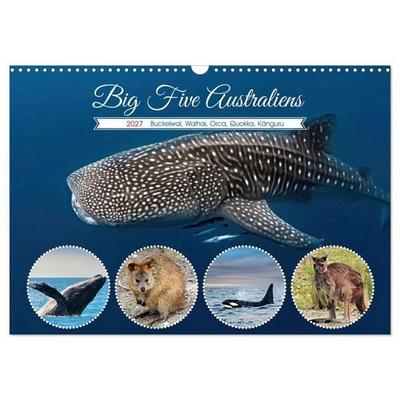 Big Five Australiens Buckelwal, Walhai, Orca, Quokka,Känguru (Wandkalender 2027 DIN A3 quer), CALVENDO Monatskalender