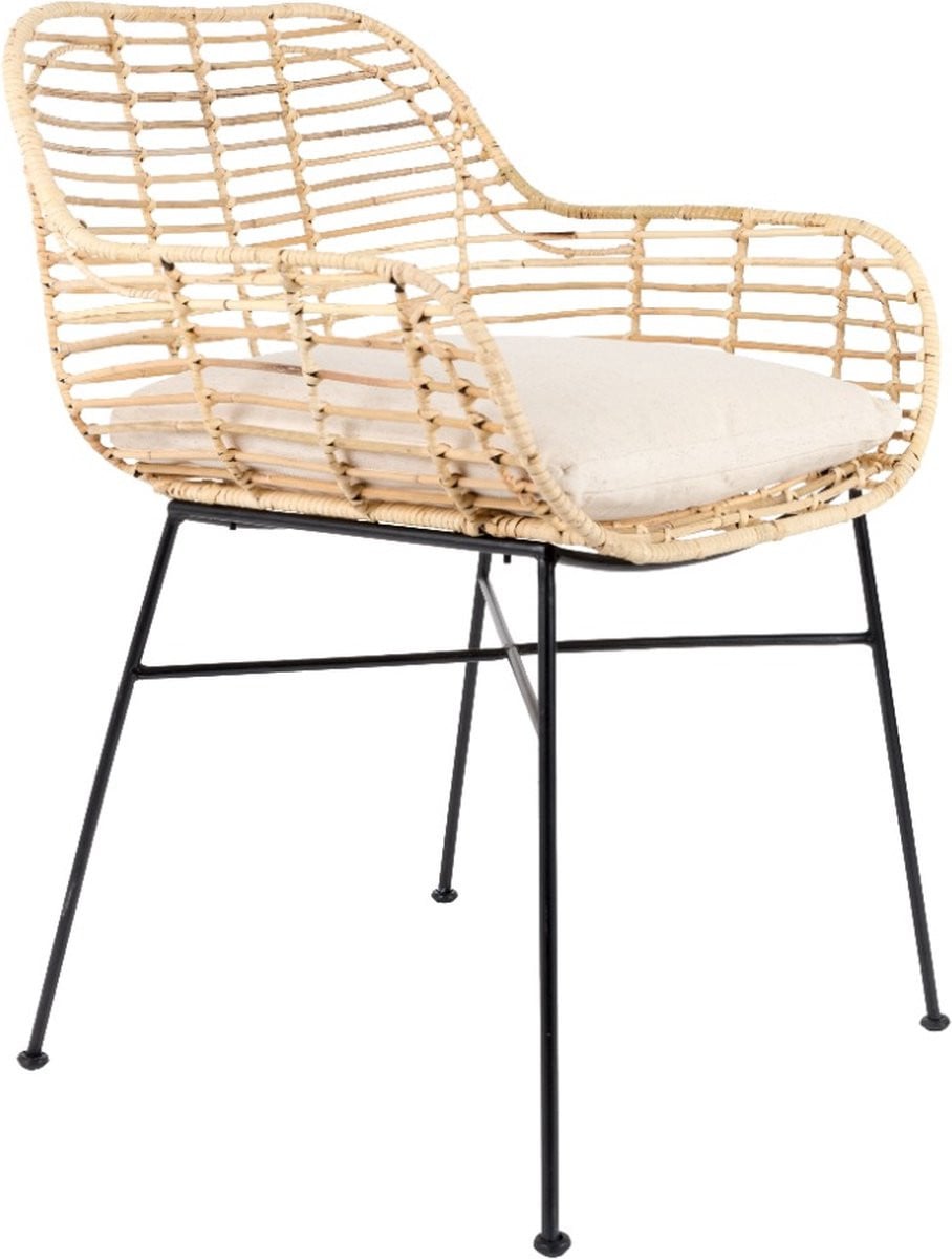 Anli Style Armchair Tiger
