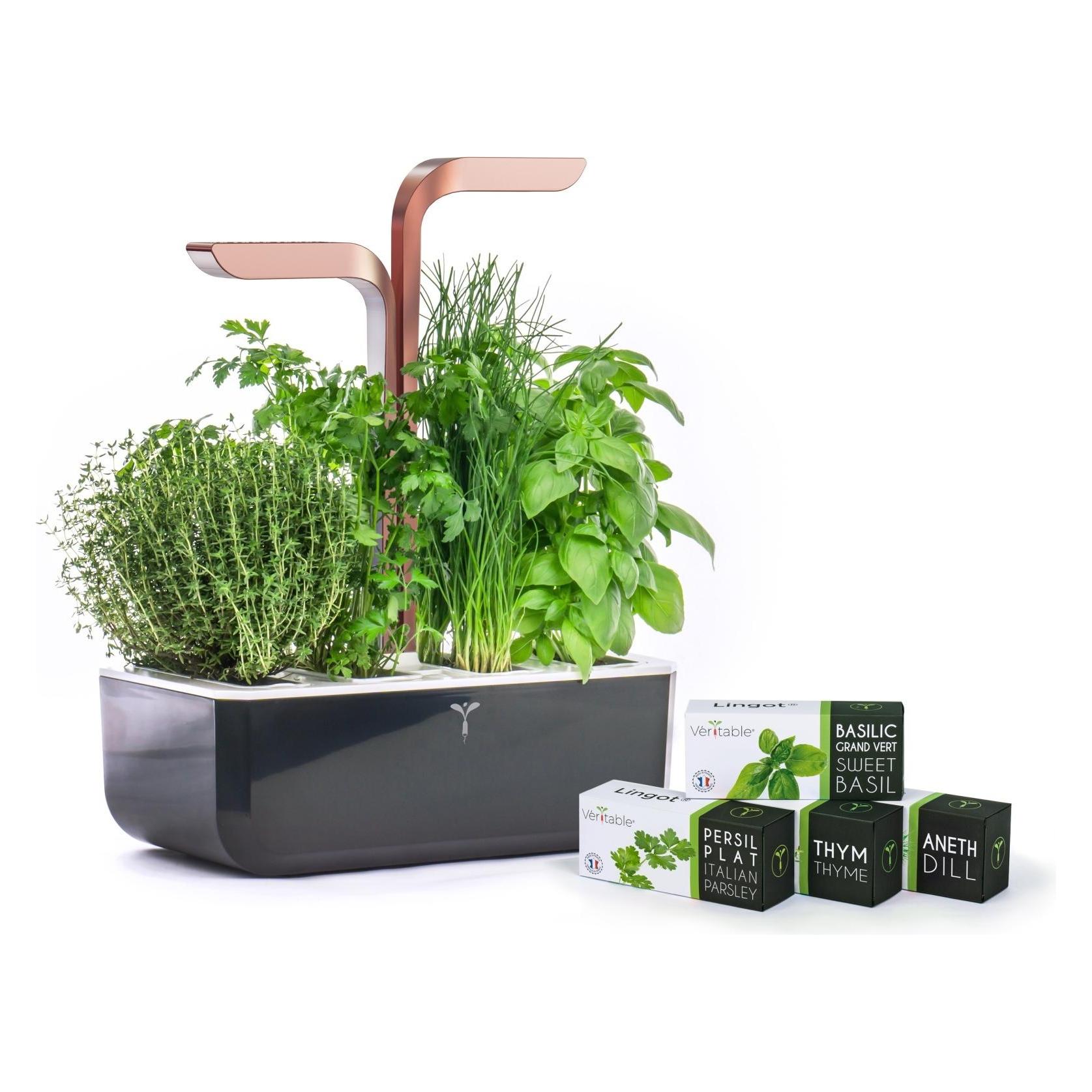 Véritable Smart (33 x 18.50 x 45 cm) (VPOT-SSBCO-A-5)