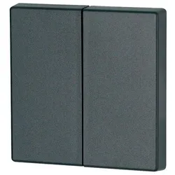 Eaton 195243 Wippe, 2-fach, Tiefschwarz CWIZ-02/09