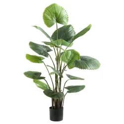 Kunstpflanze FÄCHERPALME (BHT 67x120x64 cm) - bunt - BHT 67x120x64 cm