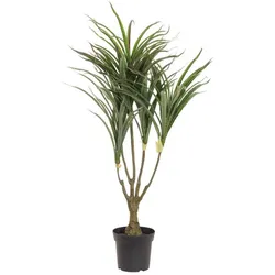 EUROPALMS Dracena, künstlich, grün-rot, 90cm