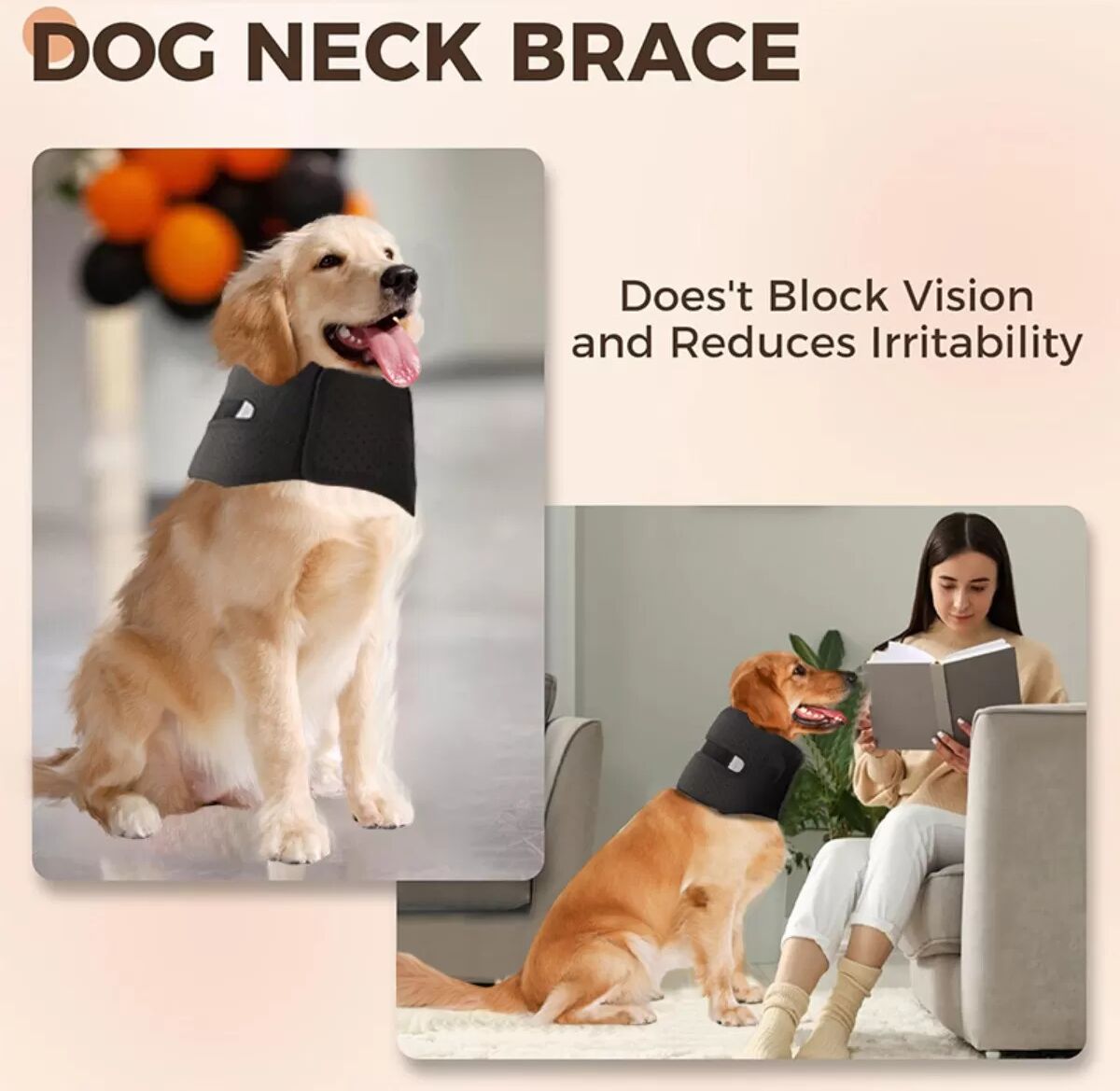 INF Collier de Protection Post-Opératoire pour Animaux - Empêche la Torsion et Soutient la Guérison M
