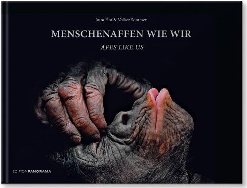 Jutta Hof - Menschenaffen wie wir - Preis vom 30.09.2026 09:01:18 h