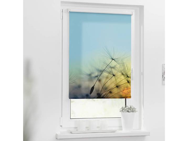 Klemmfix Verdunklungsrollo Pusteblume 70 x 150cm Blau