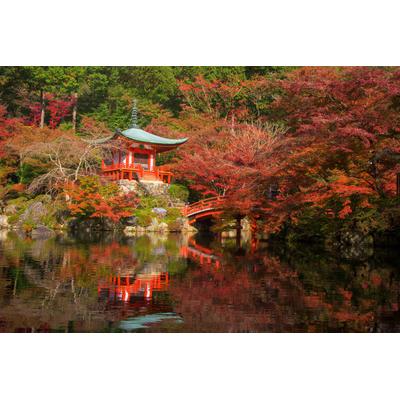 Fototapete PAPERMOON "japanischer Garten", bunt, B:5m L:2,8m, Vlies, Tapeten