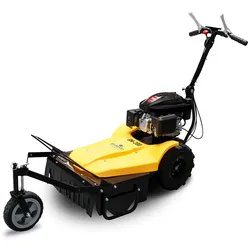 BAMATO Mulchmäher GM-200 mit LONCIN Motor