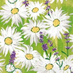 Mank Serviette Tissue Nadine, 33 x 33 cm, 100 Stück - Margeriten Blumen Wiese Lavendel