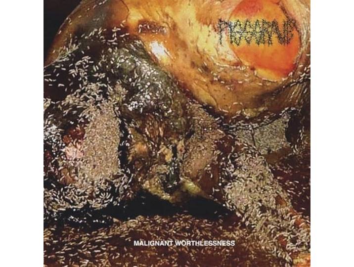 Malignant Worthlessness