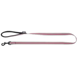 Martin Sellier XS (XS, Hund, Allgemein, Spazieren), Halsband + Leine