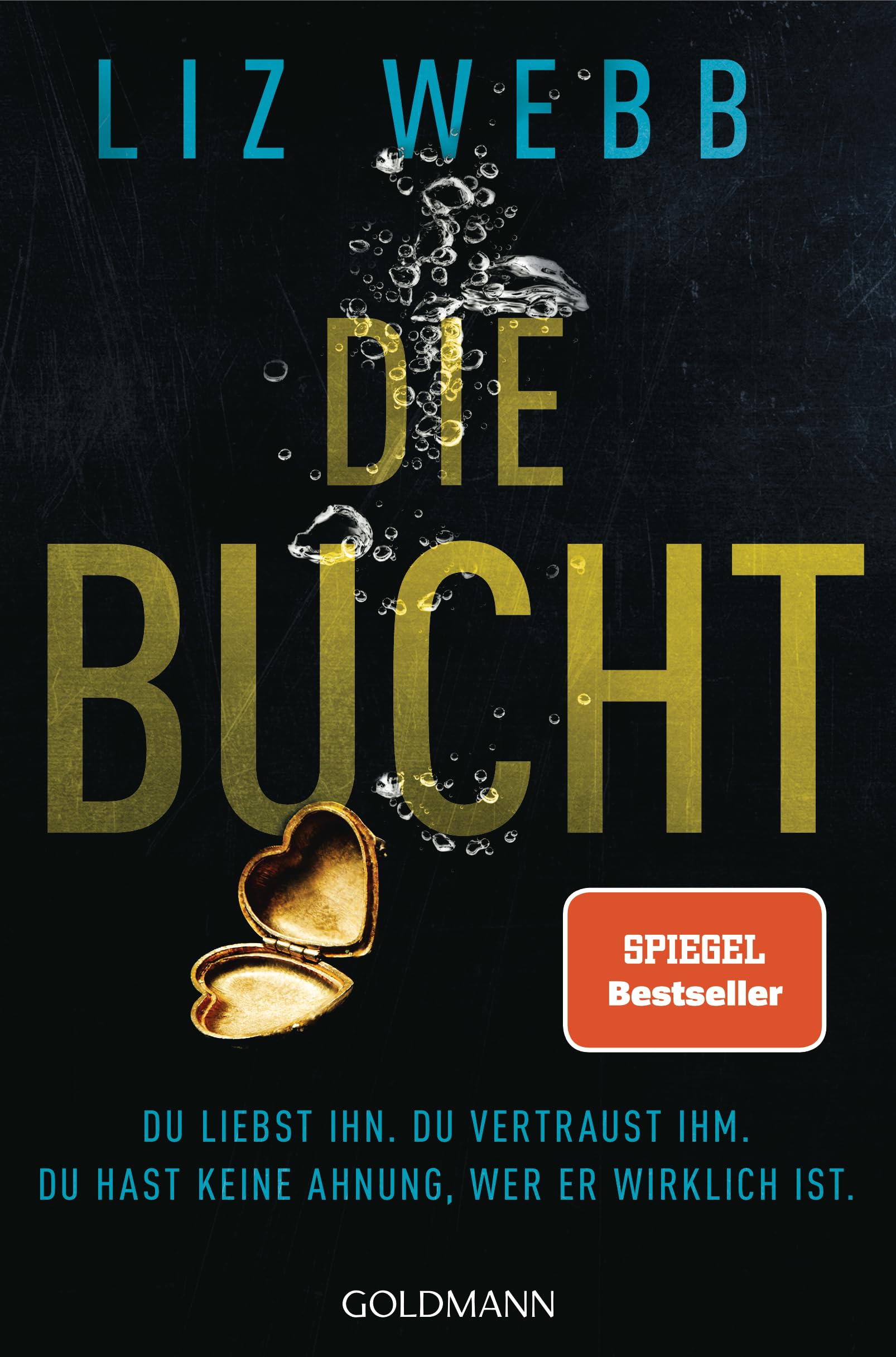 Liz Webb - Die Bucht: Du liebst ihn. Du vertraust ihm. Doch du hast keine Ahnung, wer er wirklich ist. Roman - Preis vom 13.10.2026 19:28:25 h
