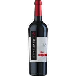 Lidio Carraro Agnus Malbec 2022