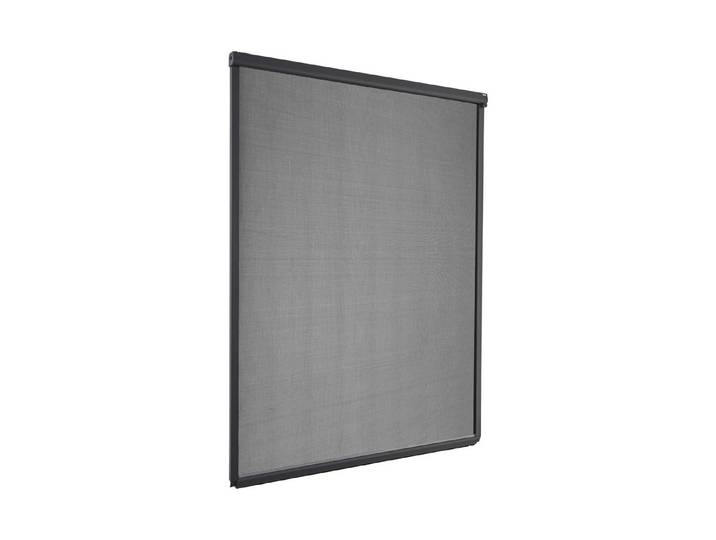 Windhager Insektenschutz Rollo Fenster Anthrazit 1.6 × 1.3 m