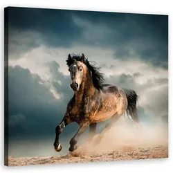 WANDBILD pferd galopp
