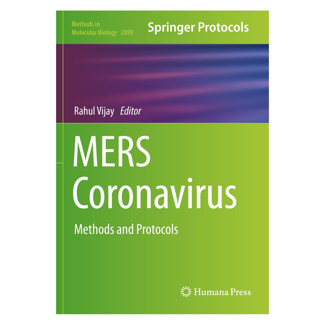 Springer MERS Coronavirus (Englisch, Softcover, Rahul Vijay) (56169537)