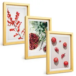 BILDER SET 3er Set - 20x30 cm Goldrahmen - Minimalismus der roten Früchte von Pflanzen