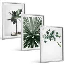 BILDER SET 3er Set - 40x60 cm Silberner Rahmen - Minimalismus mit grünen Pflanzen