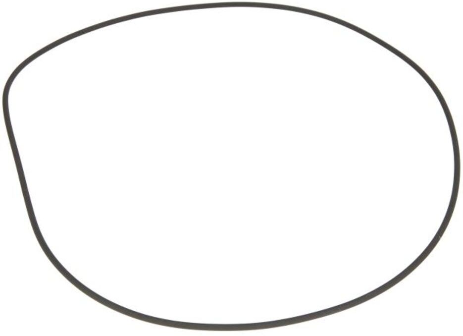 Retarderdichtung VOITH H01.069469